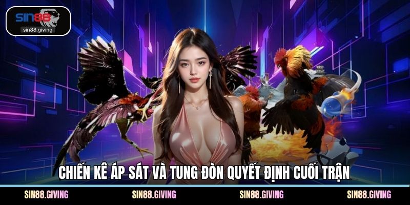 Chiến kê áp sát và tung đòn quyết định cuối trận