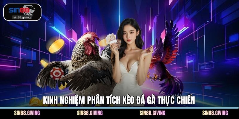 Kinh nghiệm phân tích kèo đá gà thực chiến