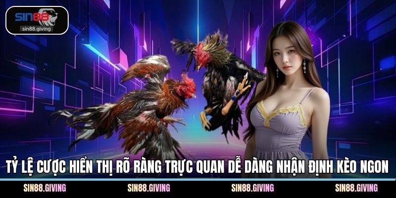 Tỷ lệ cược hiển thị rõ ràng trực quan dễ dàng nhận định kèo ngon